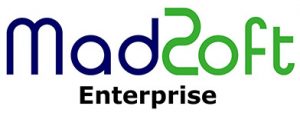 Madsoft Standard Accounting